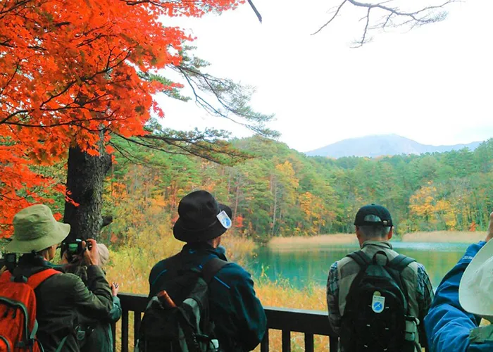 红叶的五色沼泽和磐梯山