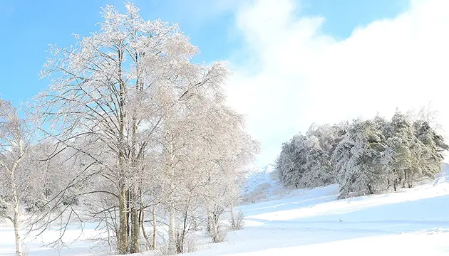带您去雪很美的地方。
