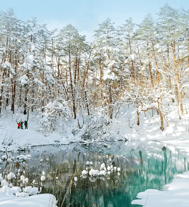 豪雪天堂