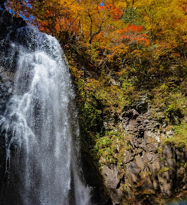 欣赏里磐梯周边的秋色：驾车游览、沼泽地、神社、瀑布和灯光秀。
