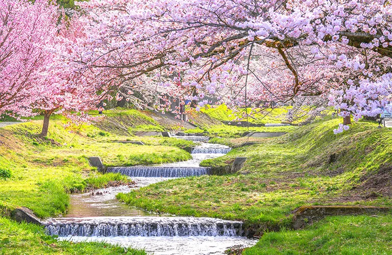 观音寺川