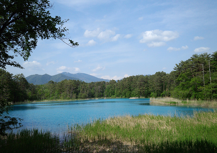五色沼/里磐梯地区。五色沼展现出真正多样化的蓝色色调。