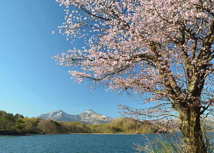 春桧原湖