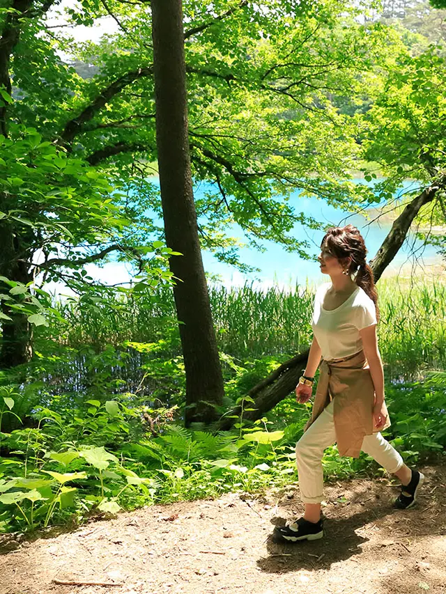 五色沼探胜路