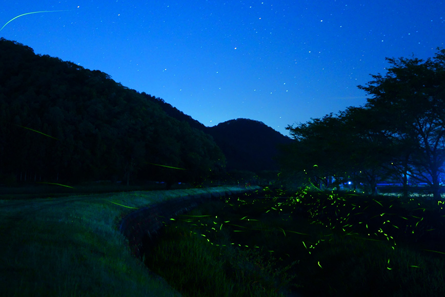 夜晚的寻宝和星空观察会