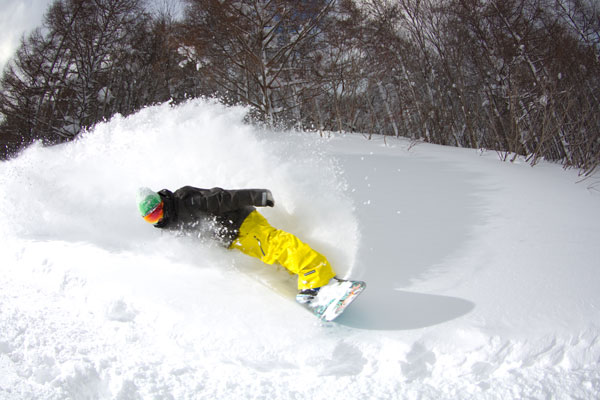 近邻滑雪场开放信息