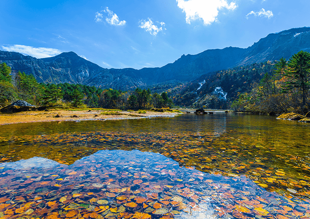 铜沼