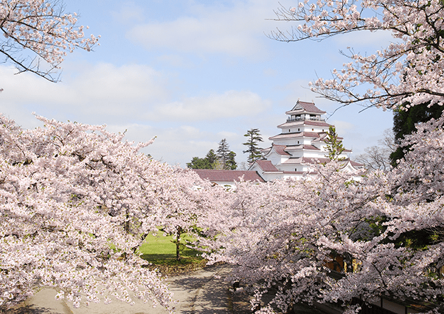 春天的Tsurugajo Castle