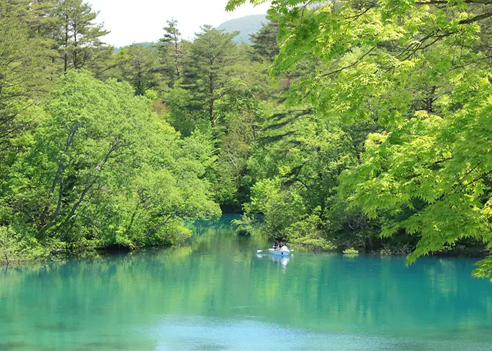 Goshikinuma Ponds Trail